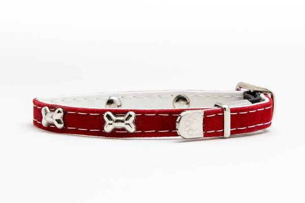 Collar for cat or dog on white background