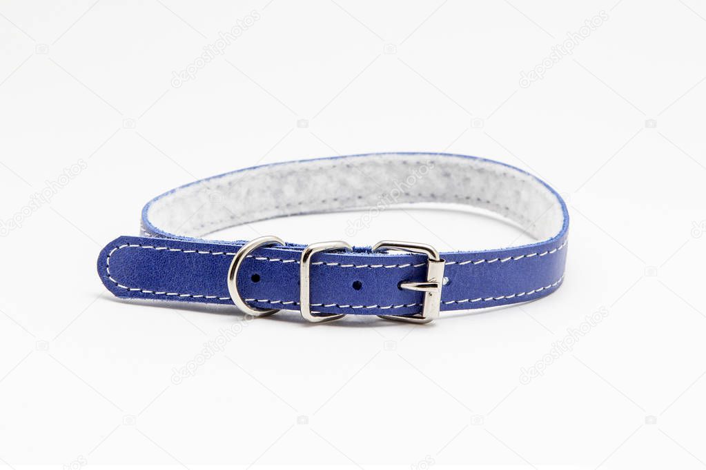 Collar for cat or dog on white background