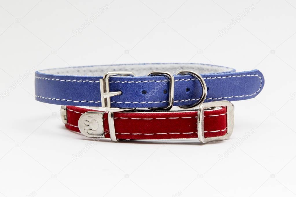 Collar for cat or dog on white background