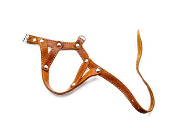 Beyaz arka plan üzerinde deri kedi koşum takımı