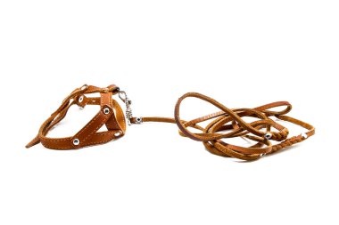 Beyaz arka plan üzerinde deri kedi koşum takımı