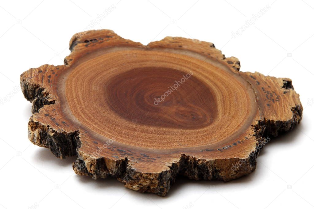Slice of wood on a white background