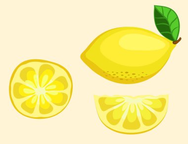 Limon meyve yarısı ve dilim. Vektör çizim