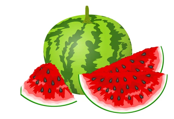 Melon Eau Sucré Savoureux Sur Blanc Illustration Vectorielle Stock — Image vectorielle