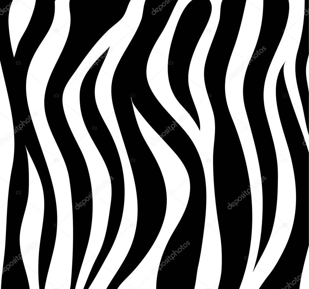 Zebra stripes black and white abstract background as skin. Vecto