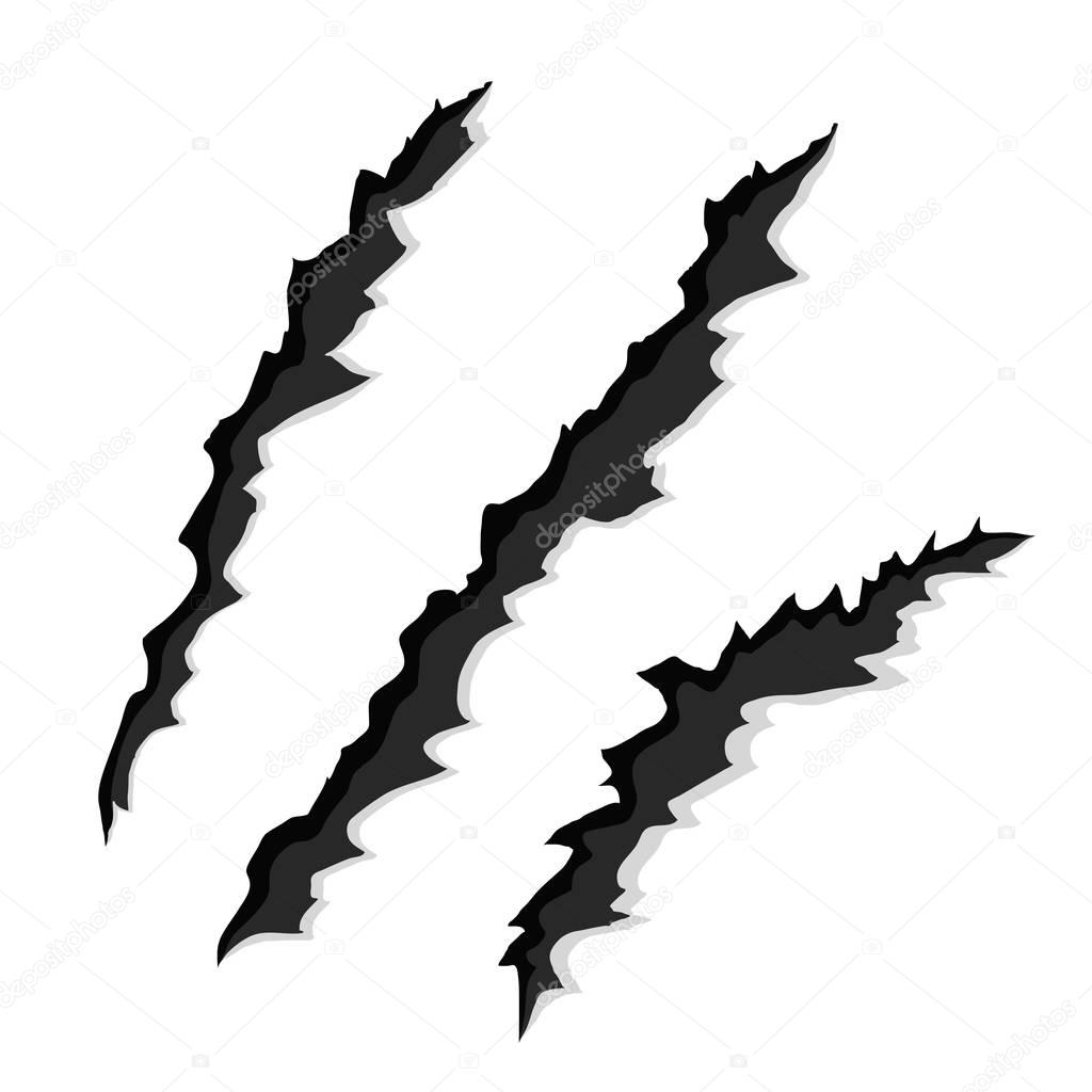 Claw Scratches on White Paper, Vector Illustration, eps10