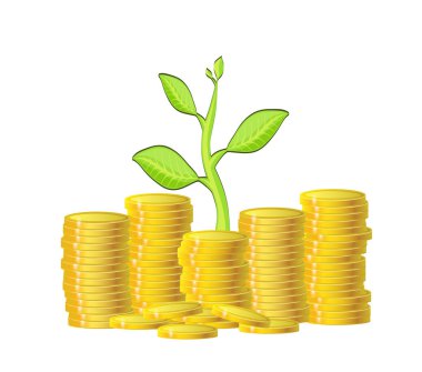 yeşil bitki ve beyaz zemin üzerine altın para paralar. büyüme f