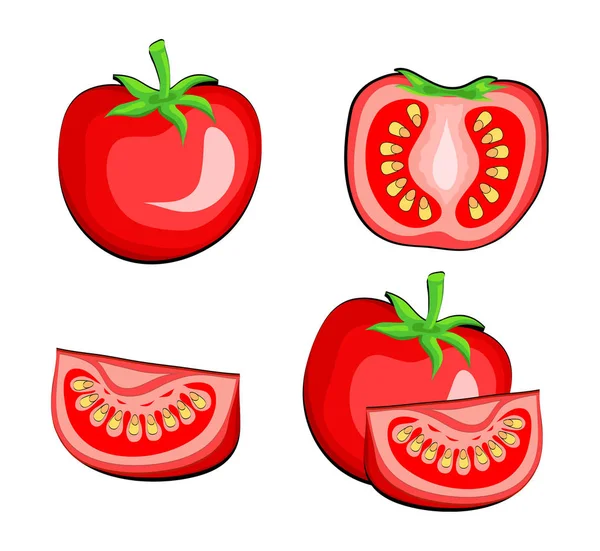 Conjunto de vegetais de tomate metade e fatia. Mão desenhar vetor Illust — Vetor de Stock