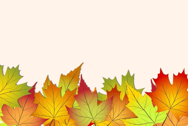 Krásné barevné podzimní listí, zpět do školy vektorové i — Stockový vektor
