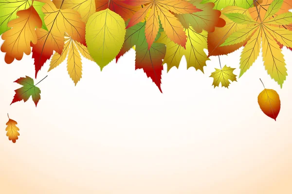 Hermosas hojas coloridas de otoño, volver a la escuela vector de stock i — Vector de stock