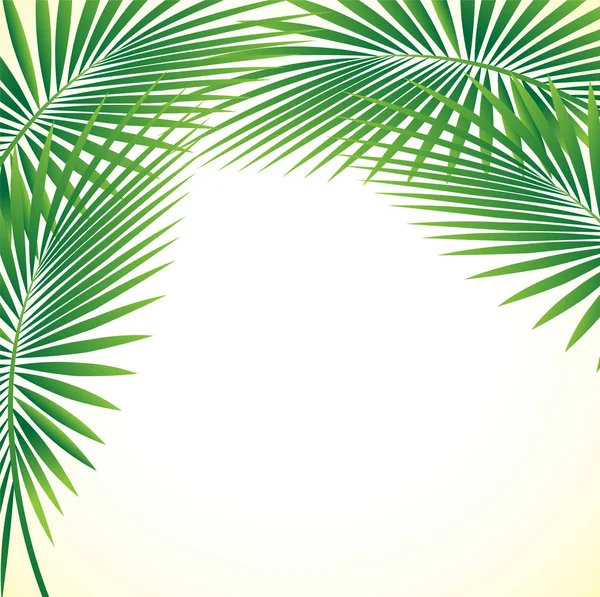 Palm Leaf Vector Achtergrond Illustratie EPS10 — Stockvector