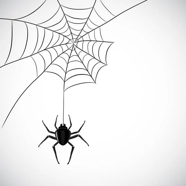 Illustration vectorielle de toile d'araignée — Image vectorielle