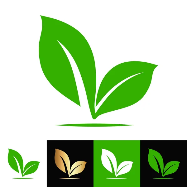 Plante feuille logo, illustration vectorielle de stock — Image vectorielle