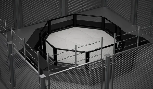 Oktagon Ufc Bellator リング Mma 混合武道混合、3 d イラストレーション — ストック写真