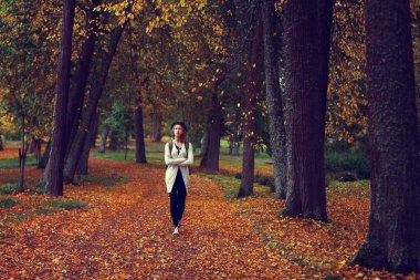 Sonbahar Parkta yürümek. Kız bir dinlenme yaptı. Fotoğraf tinte olduğunu