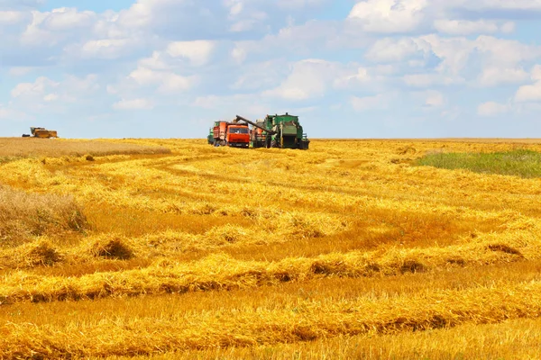 Bir çiftçinin alanındaki bir traktör. Harvest.Forage. — Stok fotoğraf