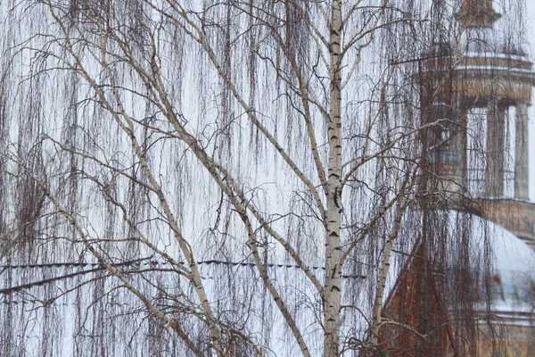 Абстрактный зимний пейзаж — стоковое фото