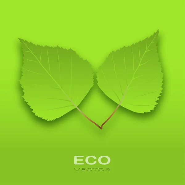 Eco deja el árbol en un verde — Vector de stock