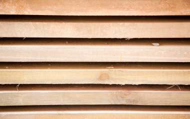 Yönetim Kurulu çam odun yığınları içinde.