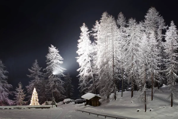 Bir rüya gibi gece tek bir yatay ve bir Noel ağacı