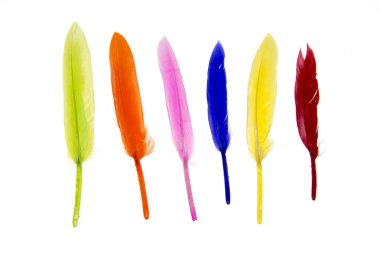 Renkli kuş tüyleri birbirine yakın