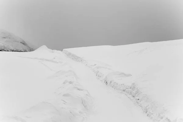 Eine Straße in der verschneiten Landschaft an einem nebligen Tag — Stockfoto