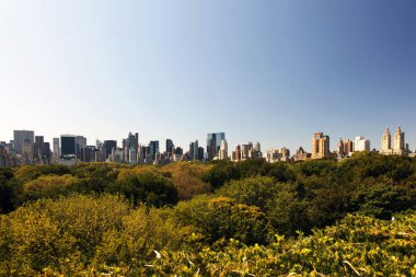 Central Park'tan NYC skyline