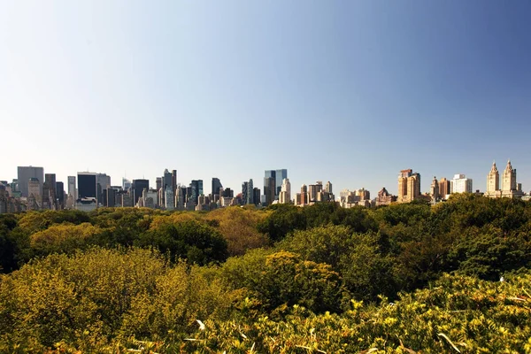 Central Park'tan NYC skyline