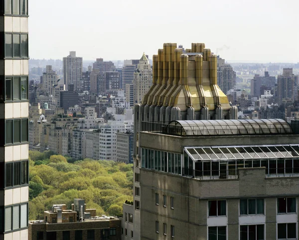 Nyc skyline ve central Park'a nadir bir bakış