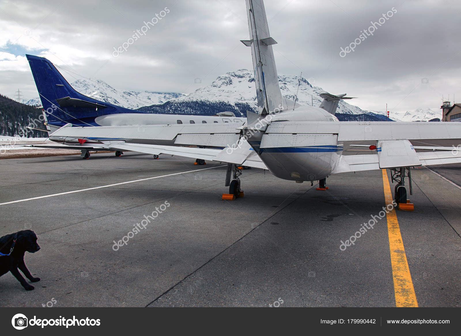 Rear View Private Jet Dog Airport Moritz Switzerland Alps Stock Photo
