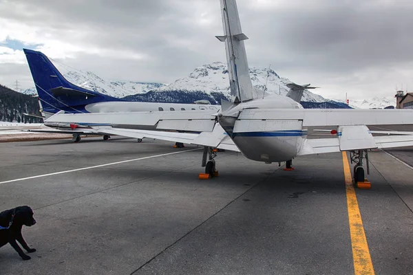 A rear view of a private jet and a dog in the airport of St Moritz Switzerland in the alps