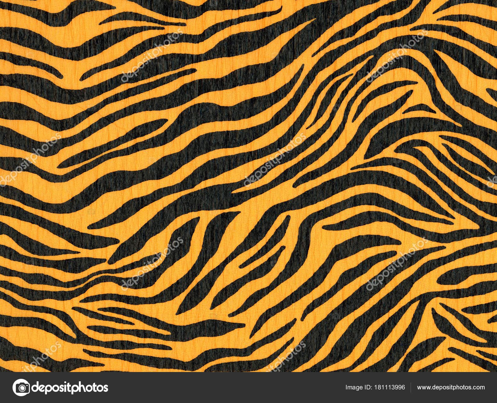 Crepe Paper Made Zebra Animal Pattern Wallpaper Backgrounds — Stock ...