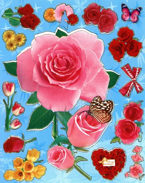 Una Ilustración Flores Rojas Rosas Que Pueden Utilizar Para Papel —  Fotos de Stock