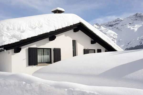 Widok Drzewa Snowy Małego Lasu Sosnowego Krajobraz Pokryte Śniegiem Szwajcarii — Zdjęcie stockowe