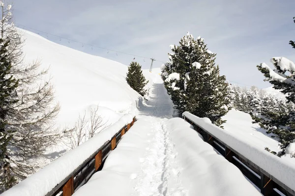 Eine Schneebedeckte Brücke Der Verschneiten Landschaft Und Berge Den Schweizer — Stockfoto