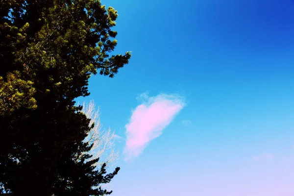 Une Photographie Paysage Croix Nuage Est Rose Dans Ciel Bleu — Photo