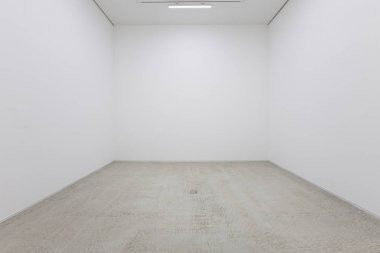 Bir beyaz bir görünümünü boş bir oda ya da bir Sanat Galerisi bir floresan aydınlatma ve ahşap zeminler ile iç boyalı
