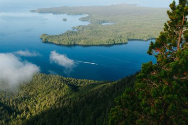 Yalnız tekne orman ile iki adalar arasında mavi su üzerinde yelken