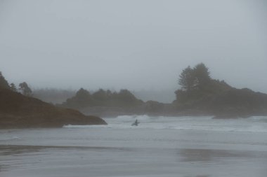 Surfer walking on beach in fog