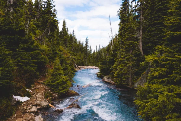 Niebieski lodowiec river w lesie — Zdjęcie stockowe