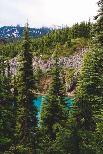 Lago de color esmeralda ver a través de árboles —  Fotos de Stock