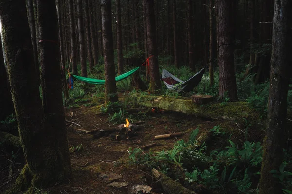 Acampar na floresta tropical com rede e fogueira — Fotografia de Stock