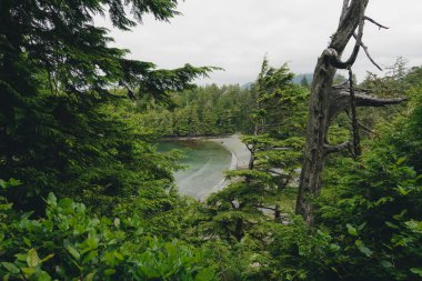Adalar, uçurumlar ve bulutlar ile uzak kıyı görünümü