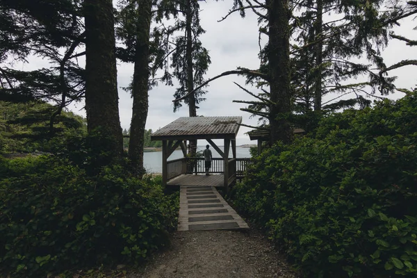 Adalar, uçurumlar ve bulutlar ile uzak kıyı görünümü