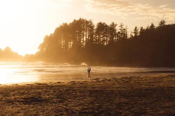 波の上を歩く男、中の背後にある森とビーチ — ストック写真