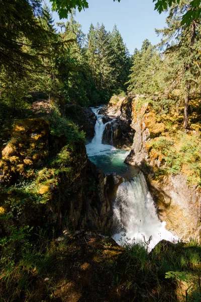 Два водоспади на річці в лісі — стокове фото