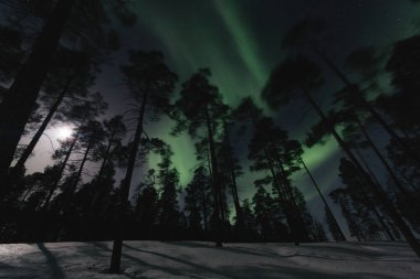 Donmuş kış ülkenin Kuzey ışıkları gece atış