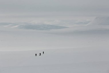 Backcountry atmosferik uzak ülke kışın donmuş.