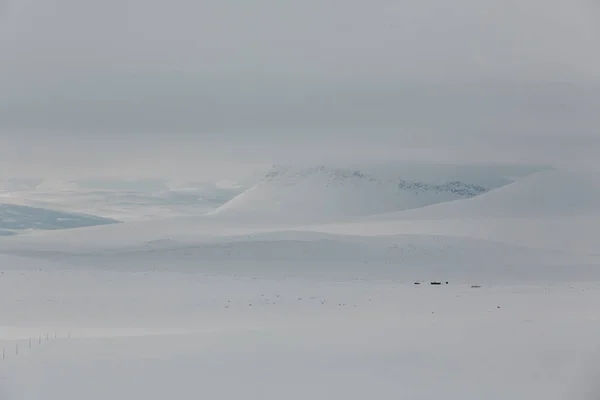 Backcountry atmosferyczne zamrożone zdalnego kraju zimą — Zdjęcie stockowe