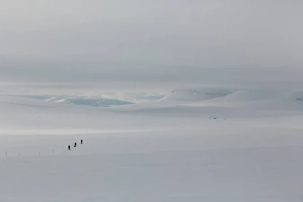 Backcountry atmosférické zmrazené vzdálené země v zimě — Stock fotografie